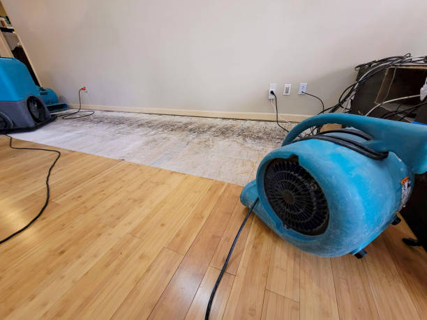Professional Water Damage Repair technician working in Bowling Green, OH